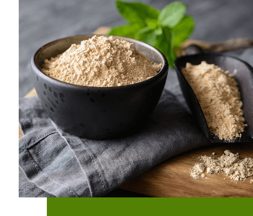 Sunflower Lecithin Powder Ingredaco Ingredaco